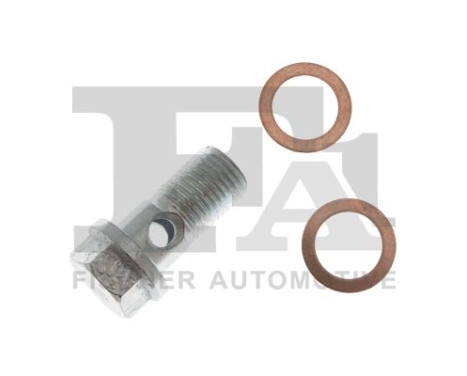 Banjo bolt, turbocharger