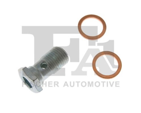 Banjo bolt, turbocharger