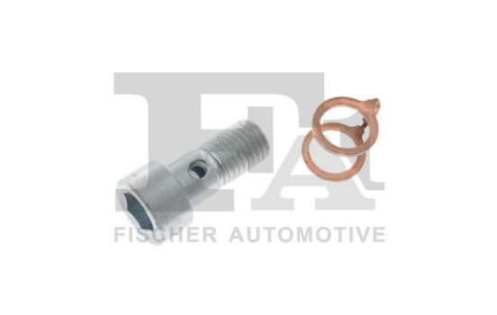 Banjo bolt, turbocharger