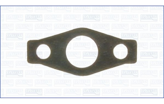 Gasket/ Seal