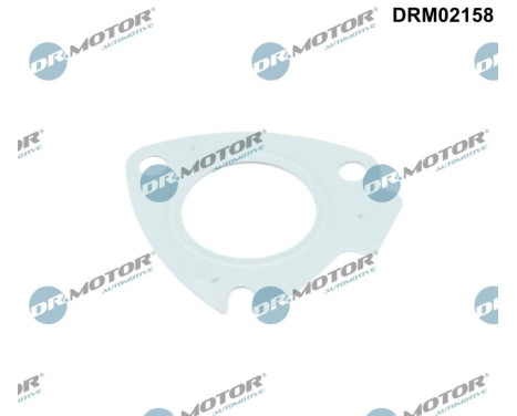 Gasket, turbocharger