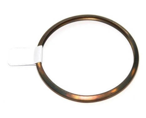 Seal Ring, charger