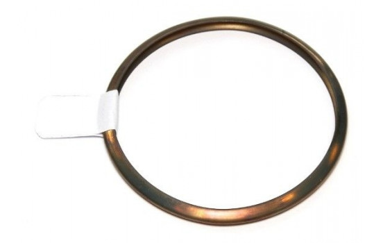 Seal Ring, charger