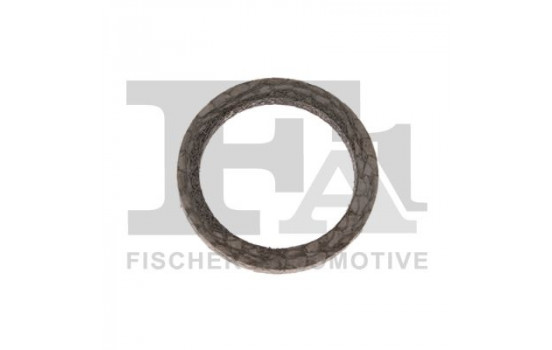 Seal, turbine inlet (charger)