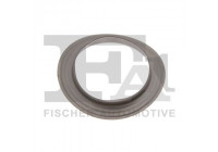 Seal, turbine inlet (charger)