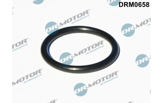 Seal, turbocharger inlet