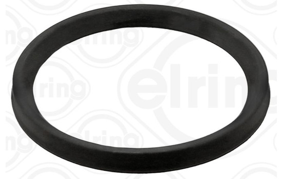 Seal, turbocharger inlet