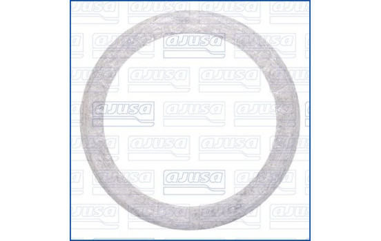 Seal, turbocharger inlet