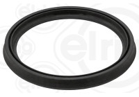 Sealing ring, turbocharger