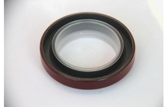 Sealing ring