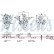 Turbocharger, Thumbnail 8