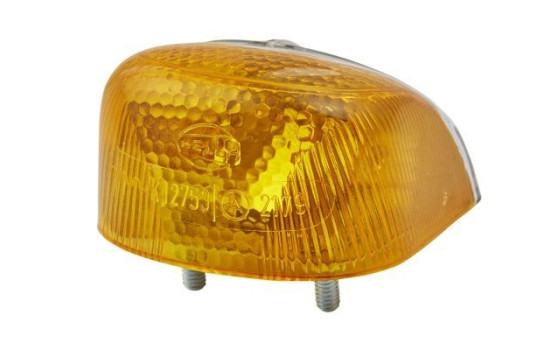 clignotant 2BA 001 244-001 Hella