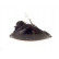 Clignotant avant droit -7/00 1773906 Van Wezel, Vignette 2