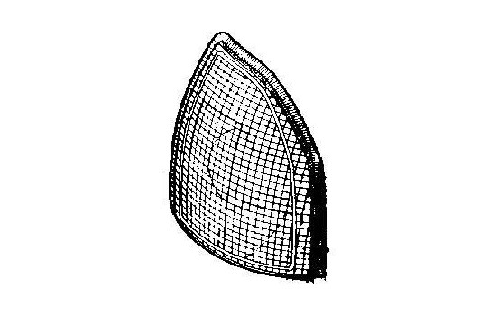 Clignotant avant droit 80 ORANGE 0320904 Van Wezel