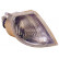 Feu clignotant 18-3584-05-2 TYC