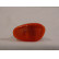 FEU INDICATEUR LATÉRAL DROIT 8/95 + ORANGE 0145918 Van Wezel