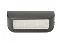 Feu éclaireur de plaque