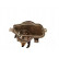 Feu antibrouillard droit 2000-2004 5931996 Van Wezel, Vignette 2
