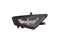 Feu antibrouillard droit 4924998 Van Wezel