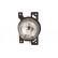 Feu antibrouillard droit H1 1638996 Van Wezel
