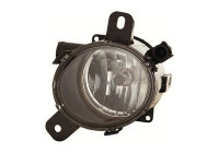 Feu antibrouillard droit H10 3860996 Van Wezel