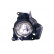 Feu antibrouillard droit H11 + Sport 2741998 Van Wezel
