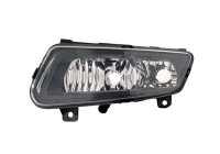Feu antibrouillard gauche 5829959 Van Wezel