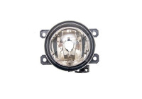 Feu de brouillard LAC360 Magneti Marelli