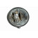Projecteur antibrouillard 19-0095-05-2 TYC