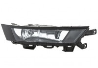 Projecteur antibrouillard 1ND 012 998-021 Hella