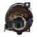 Projecteur antibrouillard CIBIE 045098 Valeo, Vignette 2