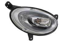 Feu diurne 1604958 Origineel