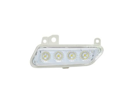 Feu diurne 2562958 Van Wezel