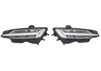 Jeu de phares SET_1LX 013 502-931 Hella