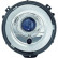 Phare 1695184 Diederichs