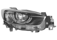 PHARE DOUBLE POUR R. 2786968 Van Wezel