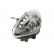 Phare LPP582 Magneti Marelli