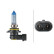 Ampoule Hella White Light HB4, 12V 51W, Vignette 2