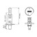 Bosch PLUS 50 H1, 12V 55W, Vignette 6