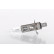 Bosch PLUS 50 H1, 12V 55W, Vignette 2