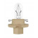 Osram Original Line BX8.4d beige 12V 1,5W, Vignette 2