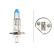 Phare Hella White H1, 12V 55W, Vignette 2