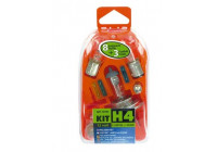 Jeu de lampes de rechange 11 pièces H4