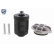 Hydraulfilter, lamellkoppling-allhjulsdrift EXPERT KITS + V48-0263 VAICO