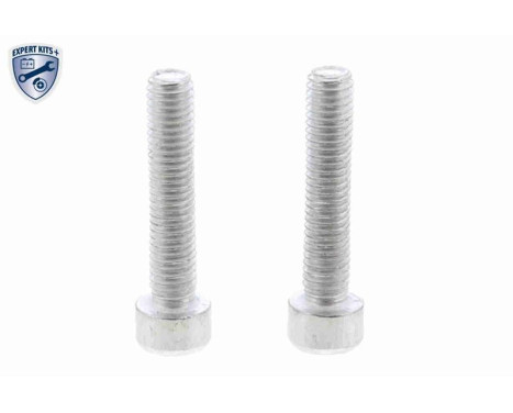 Hydraulfilter, lamellkoppling-allhjulsdrift EXPERT KITS + V48-0263 VAICO, bild 2