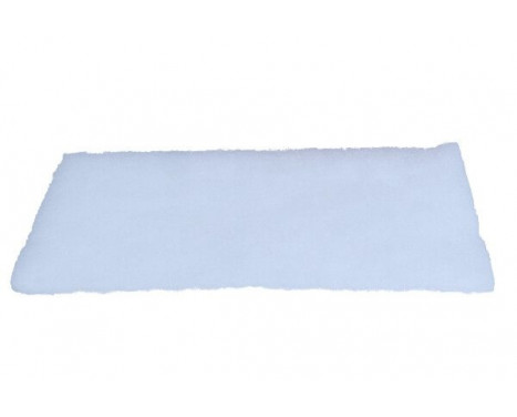 Filter, kupéventilation 26-1956 Maxgear