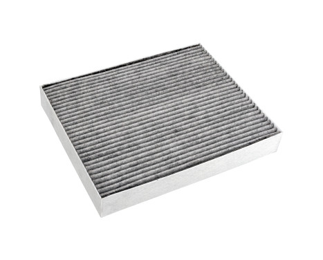 Filter, kupéventilation ADF122533 Blue Print