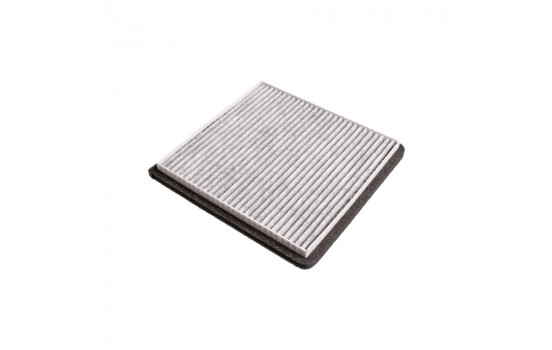 Filter, kupéventilation ADG02589 Blue Print