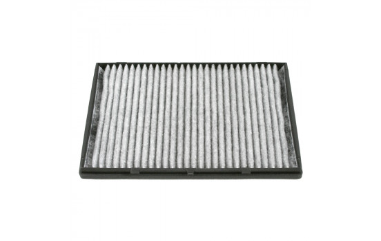 Filter, kupéventilation ADG02596 Blue Print