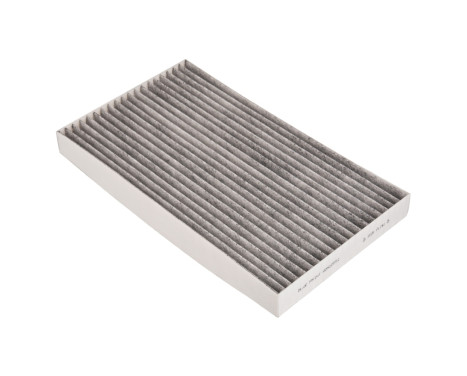 Filter, kupéventilation ADN12552 Blue Print